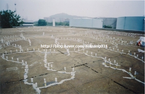 ad0493b81cec022096c2f0f6c42fc2ff_1612164362_1168.jpg